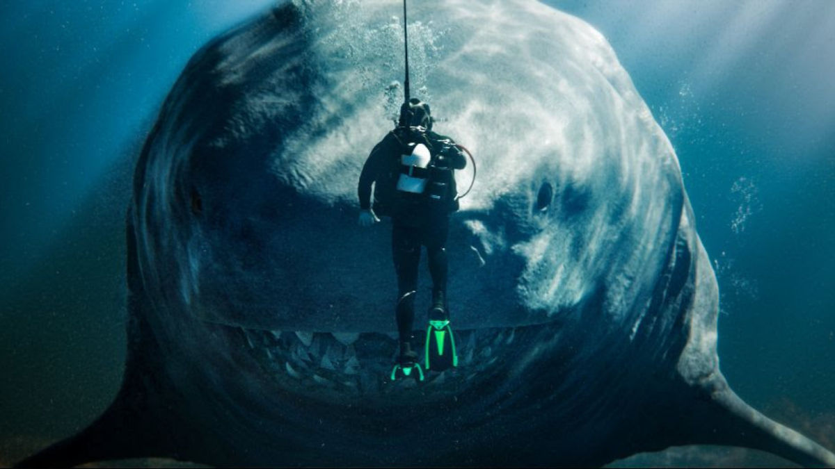 Watching ‘Meg 2: The Trench’ from the comfort of your home