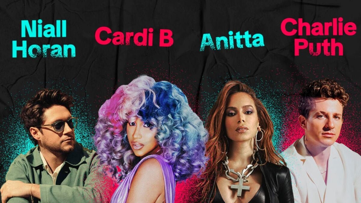 TikTok is organizing its inaugural music festival