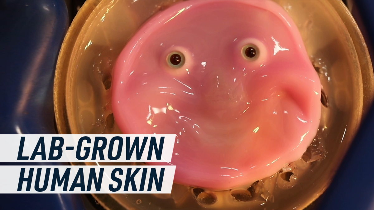 Meet the adorable pink blob that’s revolutionizing robotic skin technology