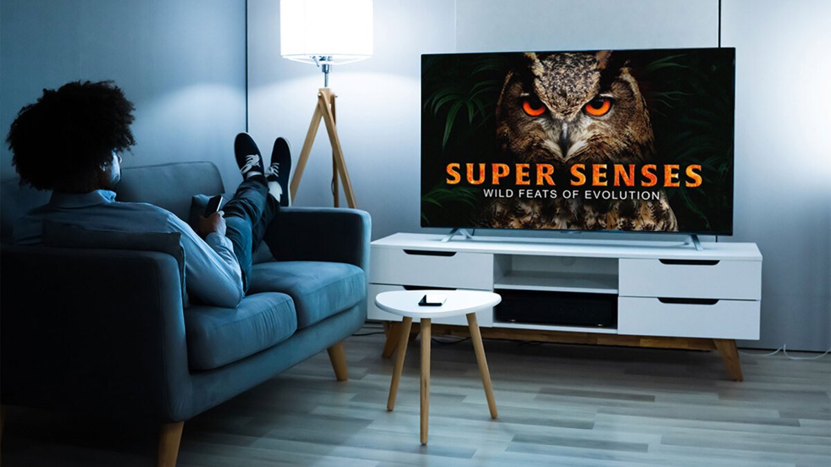 Transform your screen into a gateway to the world with captivating documentaries from MagellanTV.