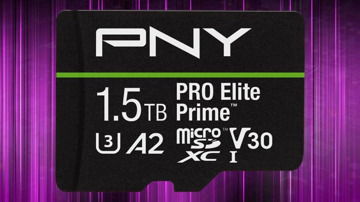 I splurged $110 on the PNY 1.5TB PRO Elite Prime microSD card and it’s totally worth it!
